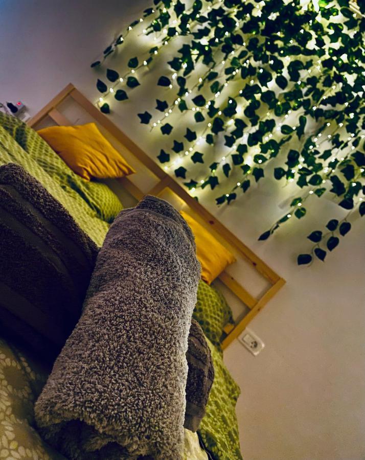 Dekan Forest Apartments Timisoara Dumbravita  Exterior foto